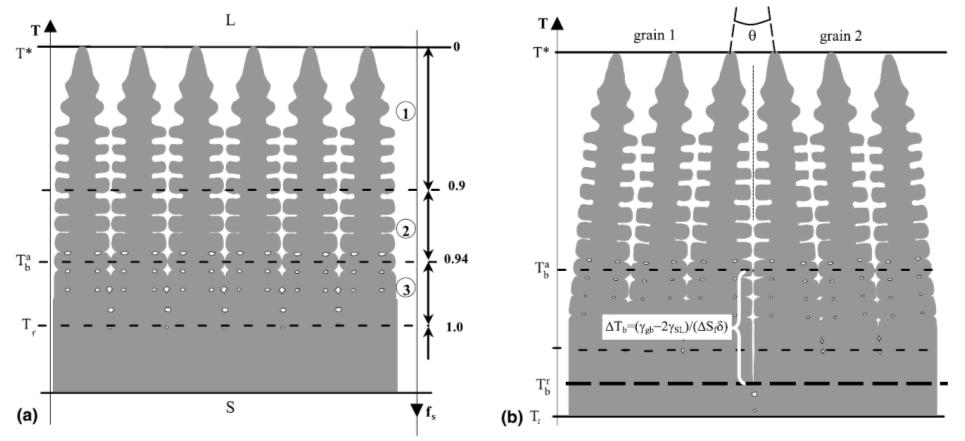 Figure 7 Schematic illutration from [Wang 2004] howing the effect of delayed coalecence in cae of ignificant miorientation between grain.