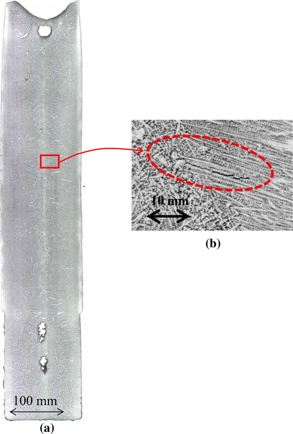 Fig. 2 Micrograph for trial N-4 with (a) global view of the full ingot ection in plane Z = 0 m (Fig.
