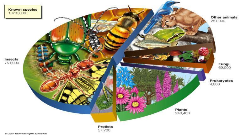 Organisms and Species Organisms, the different forms of life on earth, can be