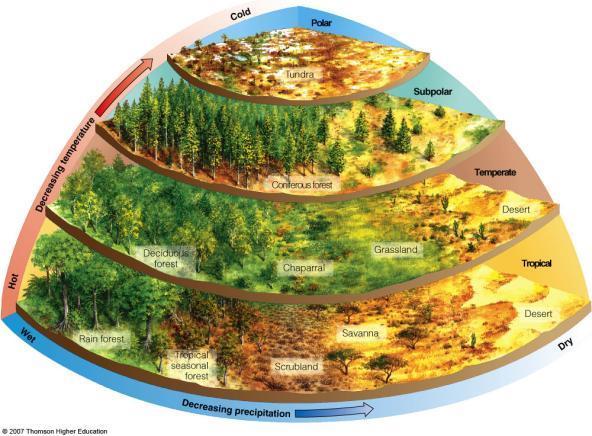 BIOMES: CLIMATE AND LIFE ON LAND Biome type is
