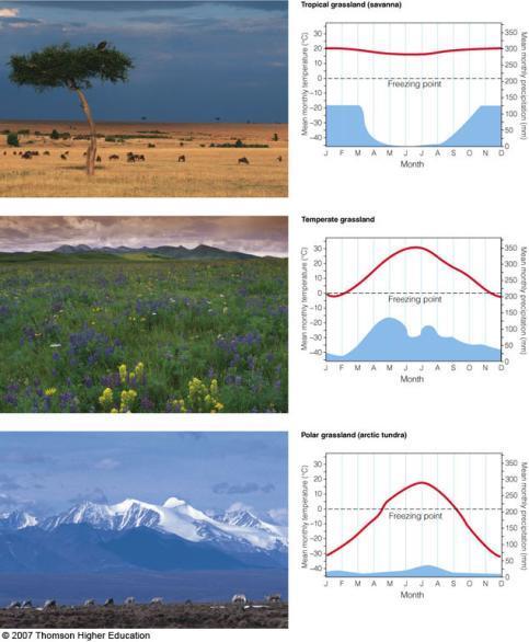 GRASSLANDS AND CHAPARRAL BIOMES Variations in annual