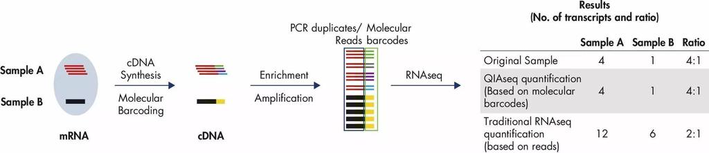 QIAseq Targeted RNA Panels Digital