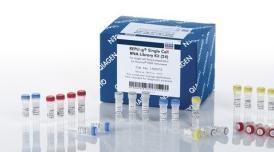 REPLI-g WTA Single Cell Kit For whole transcriptome amplification of total RNA or mrna