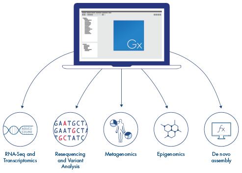 Our powerful Data Analysis and Visualization-Bioinformatics From sample to insight