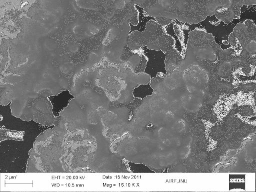 FTIR spectra. Gross morphological changes on cell membranes of bacteria were observed from electron micrographs of exposed cells.