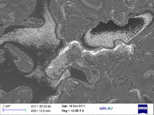 Bacteria 0 min 30min 60min Representative pathogen Fig. 5. Scanning electron micrographs of indicator bacteria treated with TMB in mid-logarithmic growth at 10 7 CFU/ml at various time intervals.