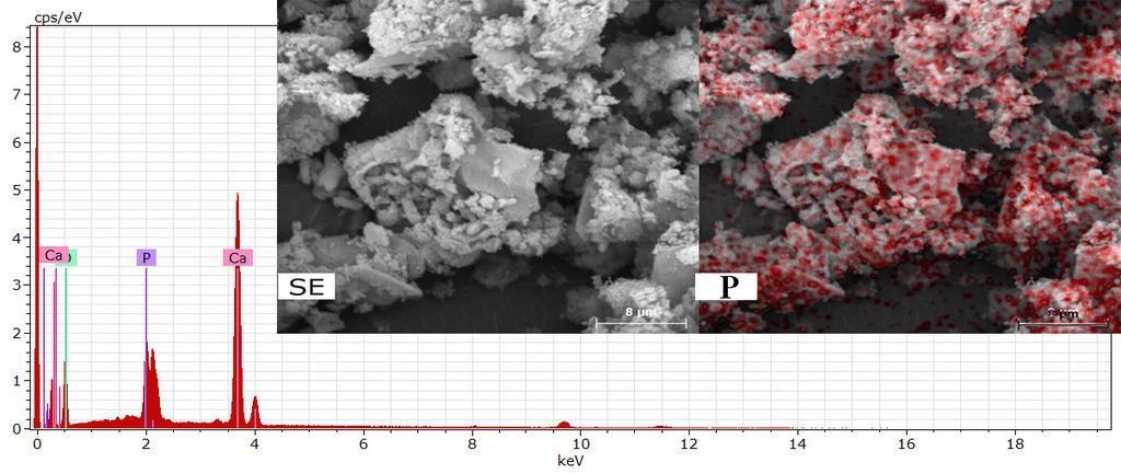 Characterization of sun coral powders. The XRD patterns (Fig.