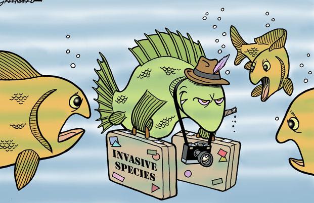 INVASIVE SPECIES MADE BY: