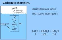 Dissolved inorganic carbon H 2 O + CO 2(g) H 2 CO H 2 CO H + + HCO - HCO - H + + CO Solubility of CO