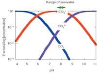 salinity, ph, and alkalinity.