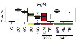 Dynamics and mechanism of specification Fgf4 secretion profile in vivo Fgf4 is high when Nanog and Gata6 start to be expressed Fgf4