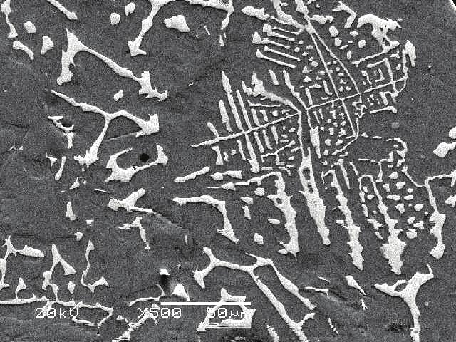 A lot of short rod-like and bone-like crystallites and nodular graphite phases can be observed from the iron matrix.