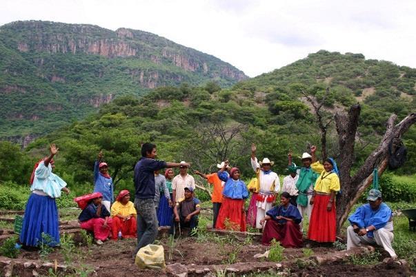 Mexico: Community-Based Landscape Management Builds on the World Bank s long term engagement with Mexico on community-based management of forests.
