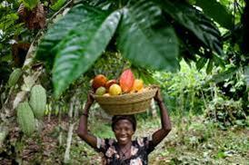 Ghana: Public-Private Partnership around the Cocoa Landscape Ghana s forest landscape is dominated by cocoa, a globally traded agricultural commodity and a contributor to emissions from deforestation