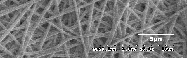 15 10 SEM micrographs of the electrospun