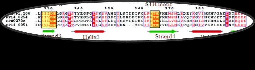- A DNA block is only informative when it contains several identical columns in a cluster.