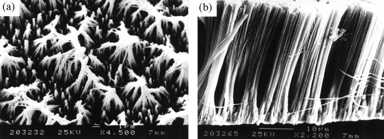 358 Tao Gao et al Figure 2. SEM images of copper nanowires formed at 0.15 V (SCE). (a) Top view and (b) crosssection view. (a) (b) Figure 3. TEM images of copper nanowires formed at 0.15 V (SCE). (a) Copper nanowires and (b) an individual copper nanowire.