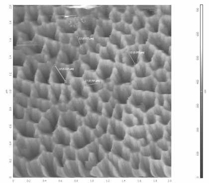 study crystal structure of nanowires and pyramid shaped copper crystals. RESULTS AND DISCUSSION Commercial available templates were examined before their use using AFM and SEM.