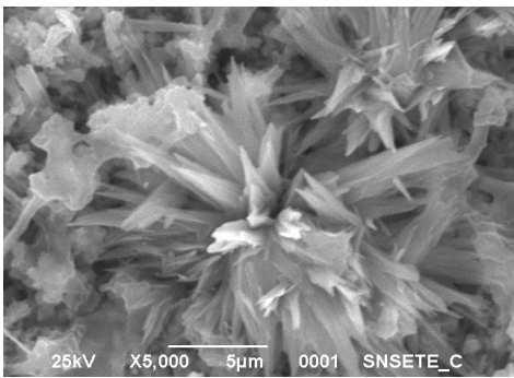 Another interesting feature is mushroom-like growth of copper buds (Fig. 4). The growth of flower-like ZnO crystals has been reported by some authors [9-12].