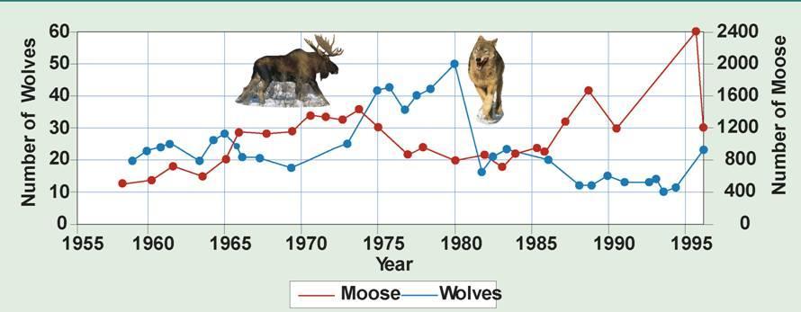 Density-Dependent Factors Wolf and Moose