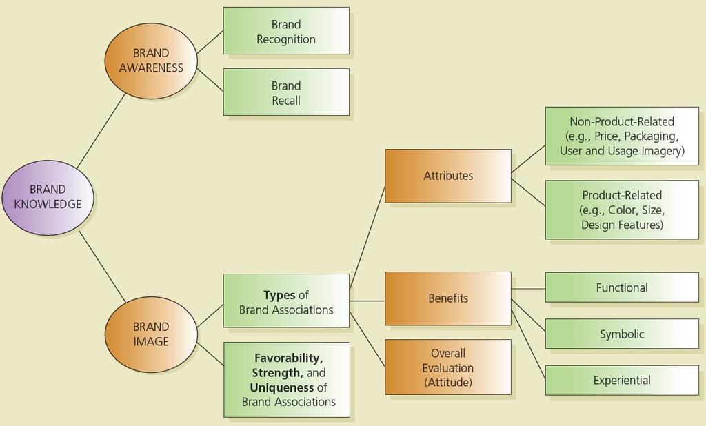 A Customer-Based Brand Equity Framework Source: Shimp (2010), adapted from Kevin Lane Keller,