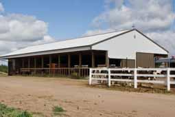 The south side of the building is open and allows for sunlight, even in the winter, to keep the cattle comfortable.