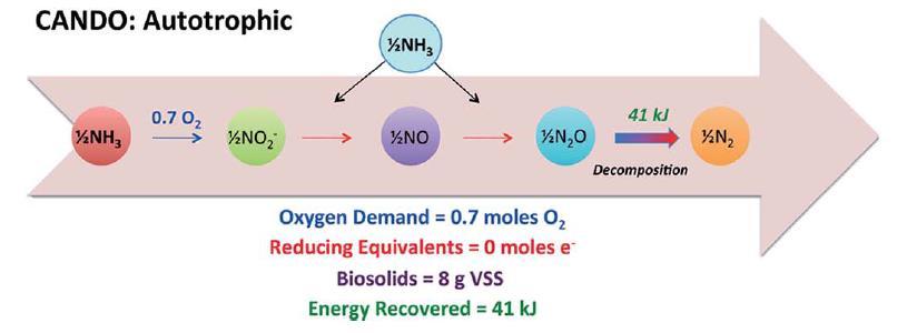 Coupled Aerobic-Anoxic Nitrous Decomposition Operation (CANDO) Couples nitritation (NH3 conversion to NO2) followed be incomplete denitrification (NO2 conversion to N2O) N2O is