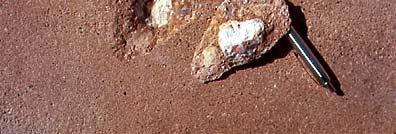specific gravity: Pyrite Hard-burned dolomite Coal Shale