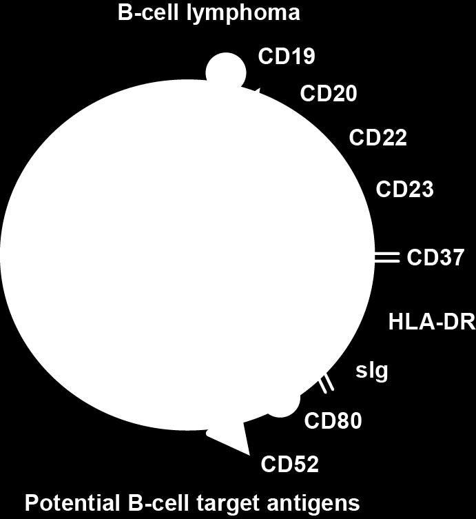 CD37 is a validated target for non-hodgkin lymphoma CD37 is one of the many potential antibody targets for cancers such as NHL 1 CD37 is well expressed in NHL 1 CD37 is expressed on the same cell