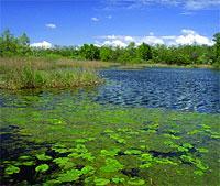 recovery of areas with a significant environmental value (Blades, wetlands.