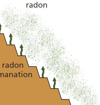 Assessing doses from radon Radon Decay Product (RDP) exposure is measured in