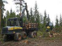 Sustainable forest management harvesting