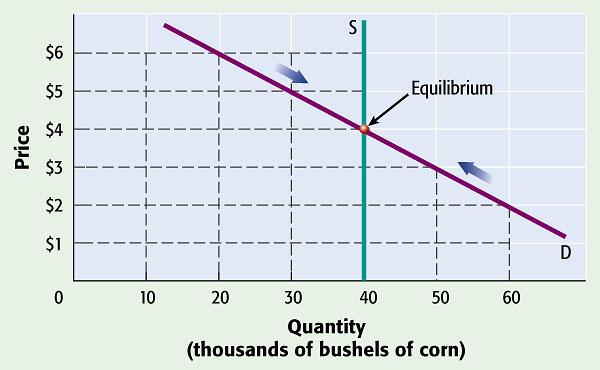 CHAPTER 6 PRICE: Supply and Demand Together Moving to Equilibrium Supply and demand work together to determine price.