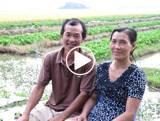Maximizing the yields of seeds through sustainable farming practices Rice-After-Shrimp Farming System