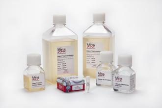 CHOgro Expression System Ideal for Biotherapeutic Protein Production in Suspension CHO Cells Increases in Product Titer are Observed at Longer Time Points with Mild Hypothermic Conditions IgG (mg/l)