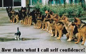 8. STRONG SELF ESTEEM & CONFIDENCE Self esteem is the confidence in your own abilities.