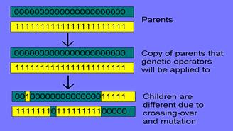 Production of New Chromosomes 2 parents give rise to 2 children Generations As each new generation of n individuals is generated, they replace their parent generation To achieve the desired results,