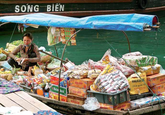 8 The variety of products in her selection from Pringles to beer to Vietnamese noodles proves the economic flexibility of this boat-based saleswoman (Vietnam) they cannot borrow money independently.