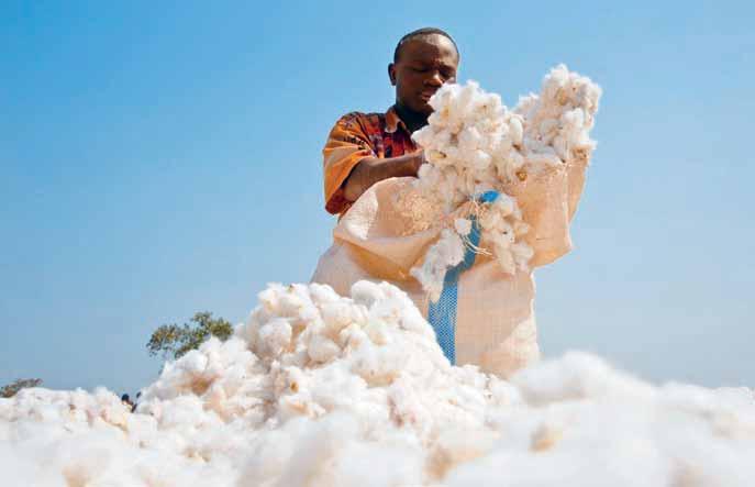 8 Cotton producers contribute significantly to Benin s gross domestic product.
