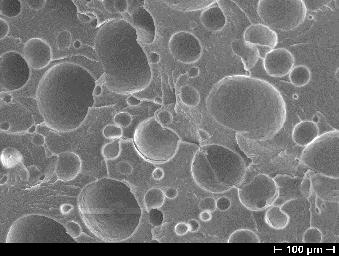 D3)  C9) Figure 4 SEM micrograph