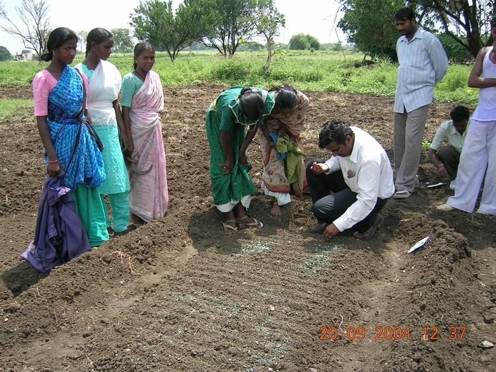 Plant health clinic in Somnath