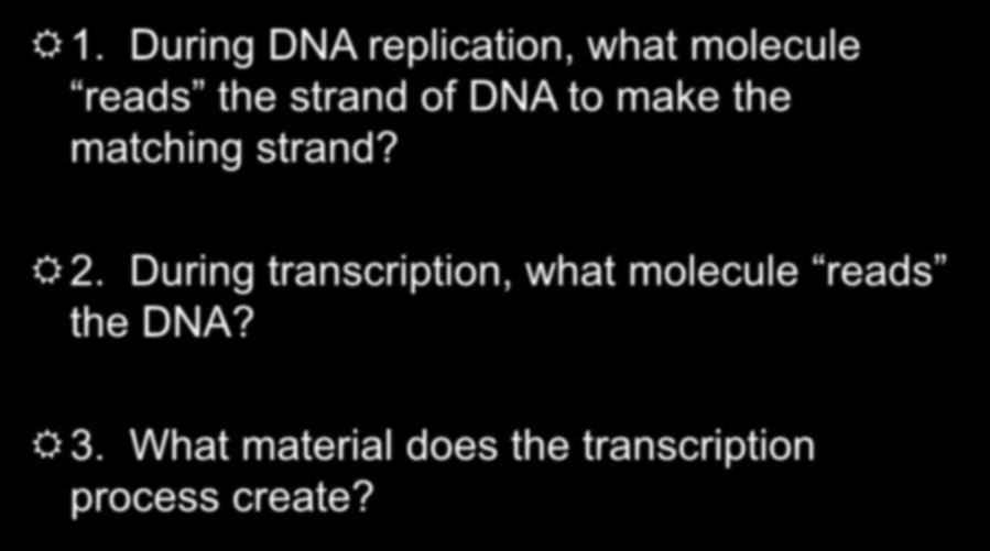 Can You Tell Me? 1. During DNA replication, what molecule reads the strand of DNA to make the matching strand?