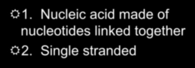 Nucleic acid made of