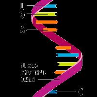 Decoding the Information in DNA RNA 4.