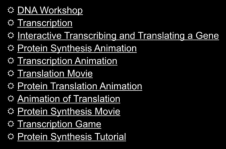 Animation Translation Movie Protein Translation Animation Animation