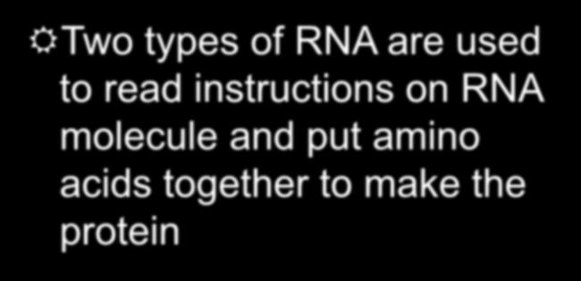 Decoding the Information in DNA Translation Two types of RNA are used to read