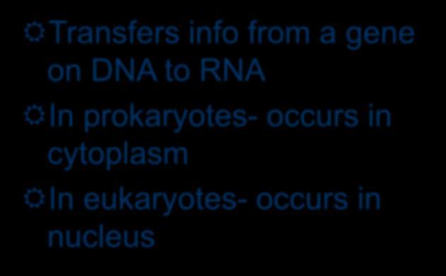 TRANSCRIPTION Transcription Transfers info from a gene on DNA to RNA