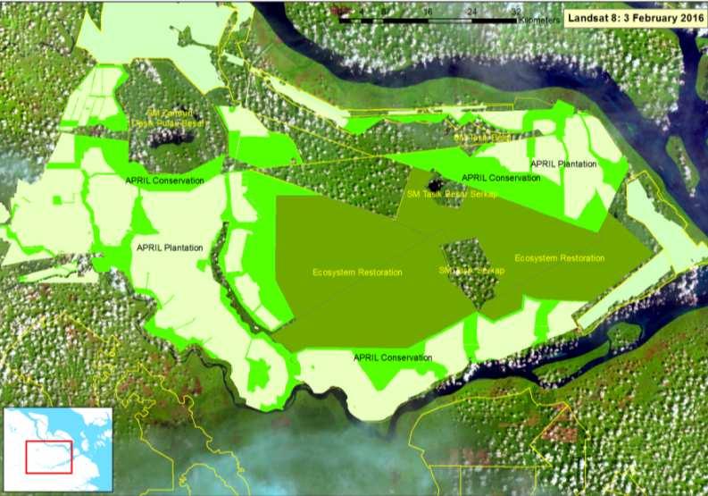 Landscape Approach to Conservation The ring plantation concept