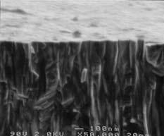 5 Typical SEM micrographs of