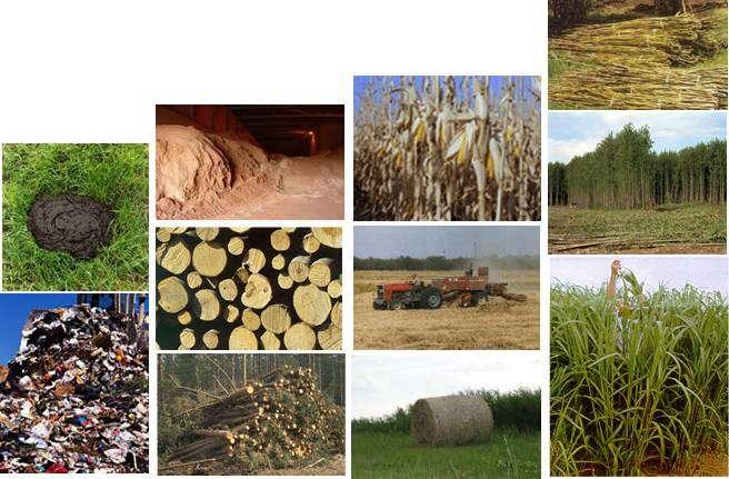 Biomass many sources